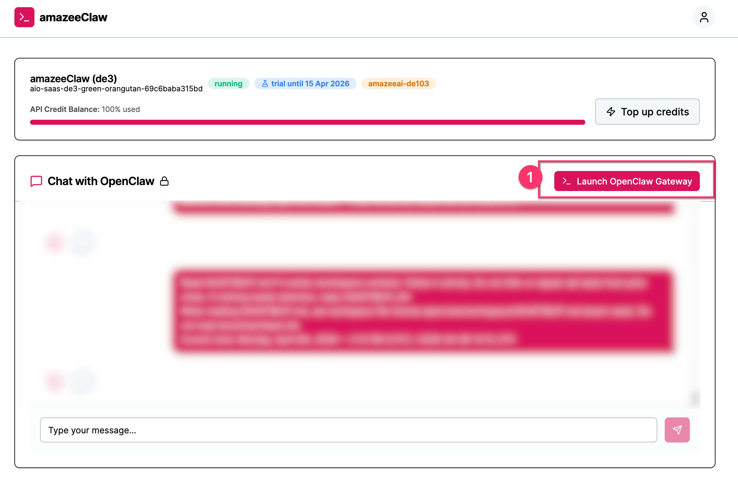 OpenClaw gateway link in amazeeClaw UI