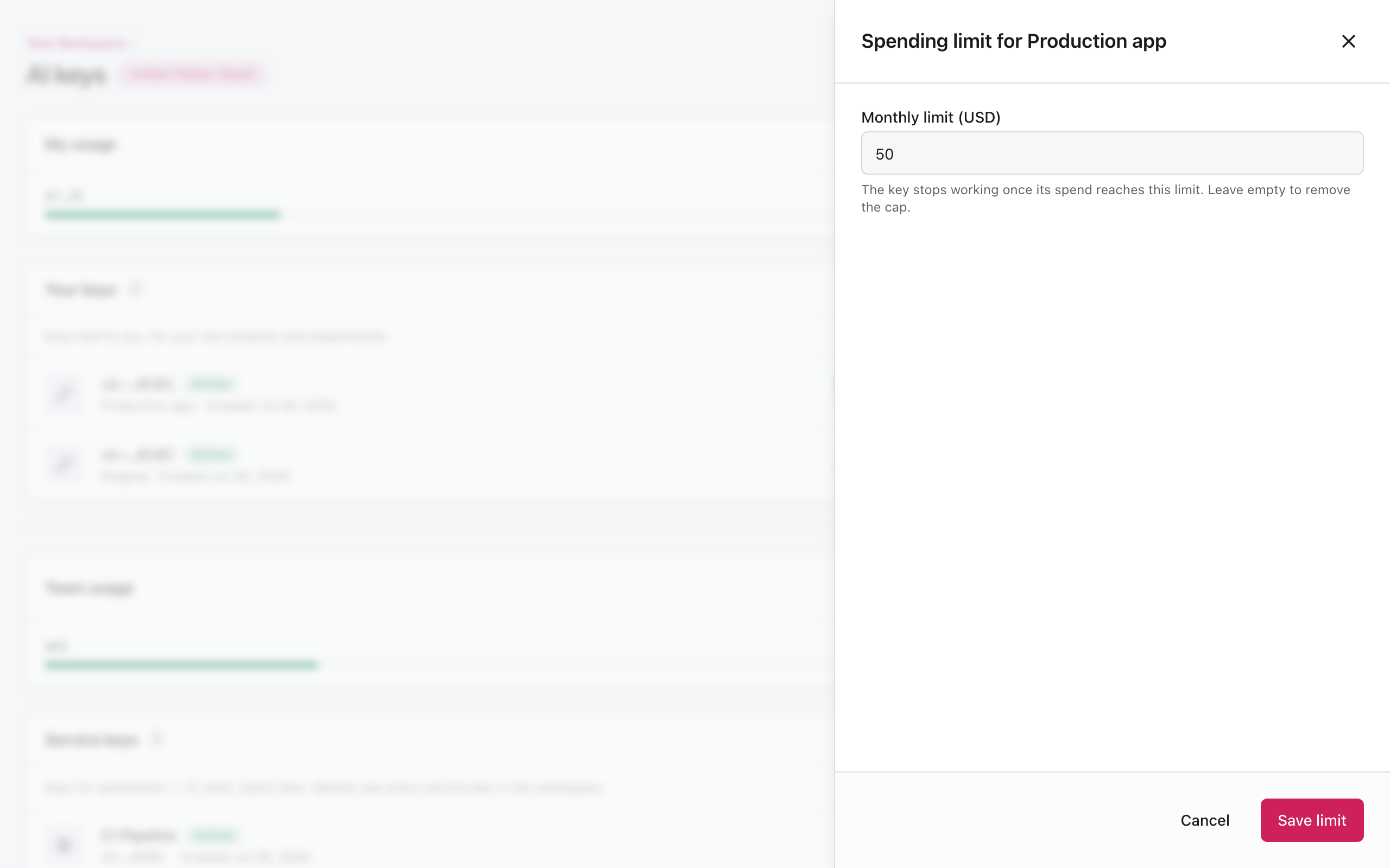 Spending limit panel: set a monthly limit for a key