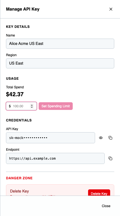 Manage API Key panel — view credentials, usage, and set spending limits