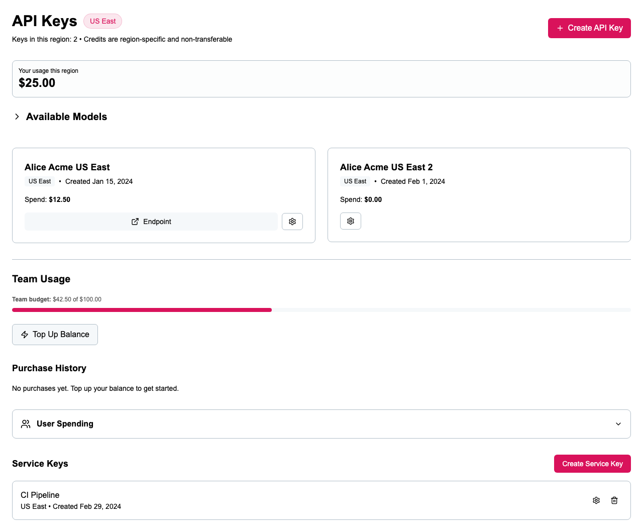 API Keys page — keys list, usage bar, team budget, and available models